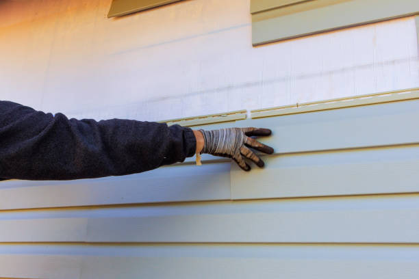 Best Storm Damage Siding Repair  in Munising, MI